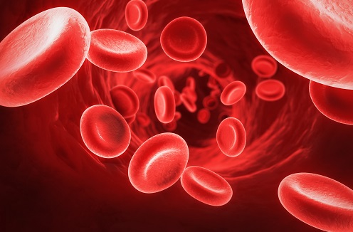 Vedci zistili, že vaša krvná skupina odhalí vašu osobnosť. Čo vám vyšlo?